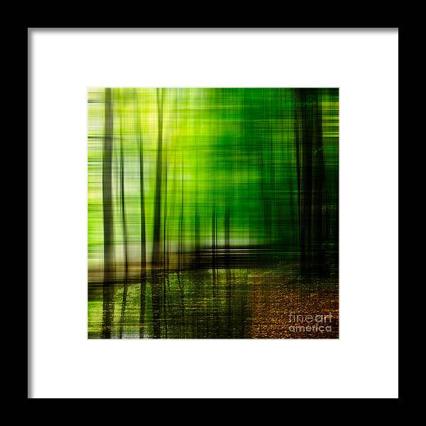 1x1 Framed Print featuring the photograph First Days In Fall by Hannes Cmarits