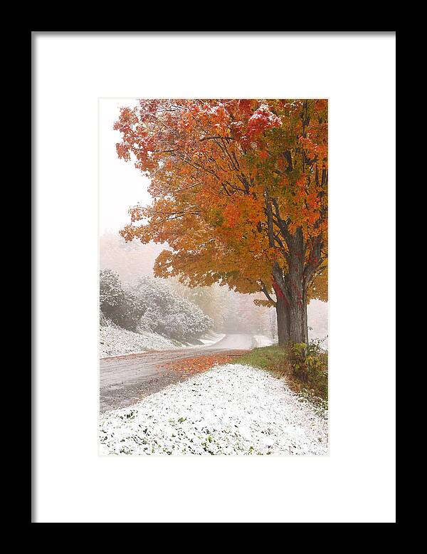 first Snow Framed Print featuring the photograph First Snow by Butch Lombardi