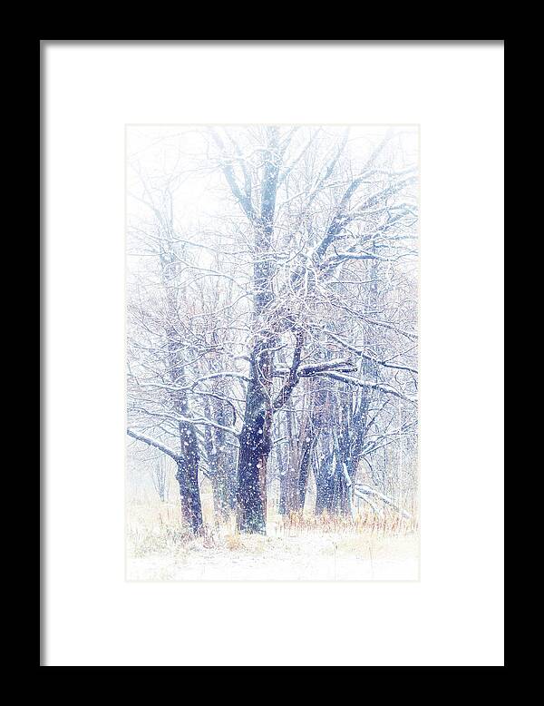 Snow Framed Print featuring the photograph First Snow. Dreamy Wonderland by Jenny Rainbow