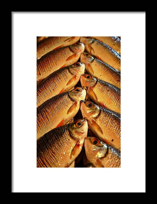 Fish Framed Print featuring the photograph Fish For Sale by Henry Kowalski