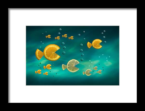 Fish Framed Print featuring the photograph Fish In The Sea by Jacqueline Hammer