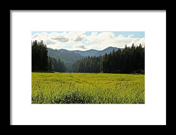 Fish Framed Print featuring the photograph Fish Lake - Open Field by Laddie Halupa