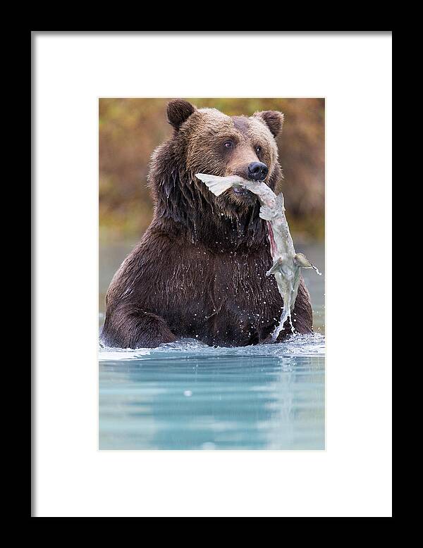Alaska Adventure Framed Print featuring the photograph Fish On by Rob Daugherty