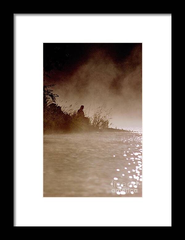 Fisher Framed Print featuring the photograph Fisher in the Mist by Sharon Elliott