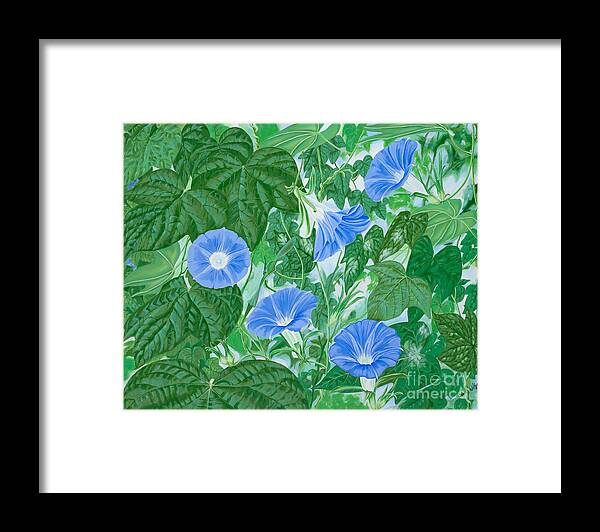 Morning Glory Flowers Framed Print featuring the painting Five Faces of Bridget by John Wilson