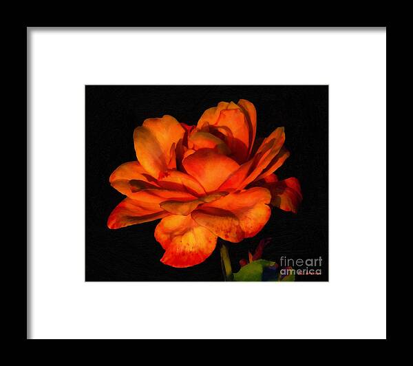 Rose Framed Print featuring the painting Flamboyant Flame by RC DeWinter