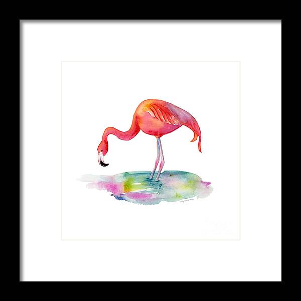 Flamingo Framed Print featuring the painting Flamingo Dip by Amy Kirkpatrick