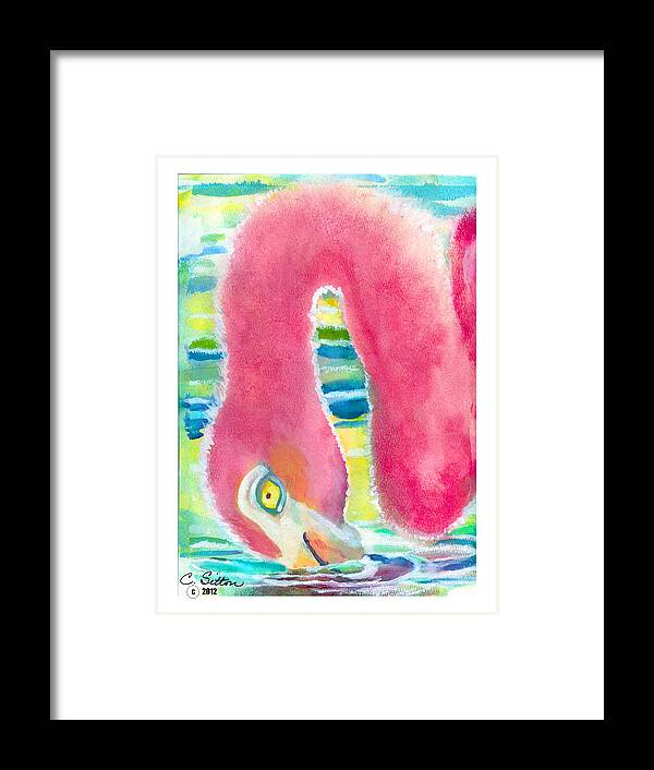 C Sitton Painting Paintings Framed Print featuring the painting Flamingo Eating by C Sitton