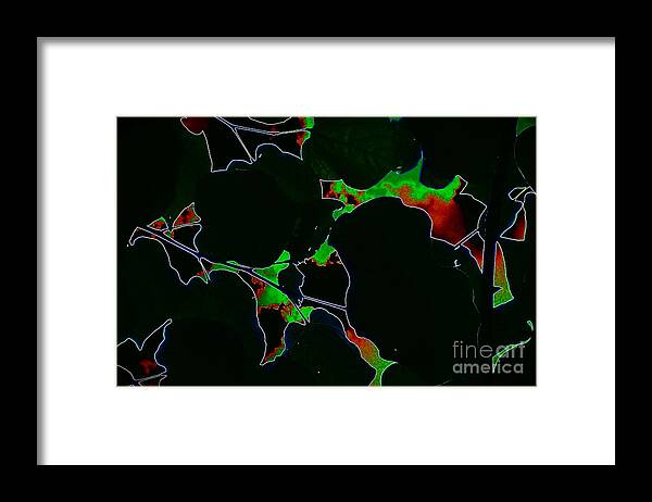 Flashback Framed Print featuring the photograph Flashback by Jacqueline McReynolds