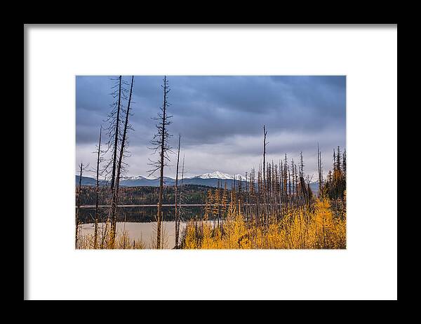 Flathead National Forest Framed Print featuring the photograph Flathead National Forest by Adam Mateo Fierro