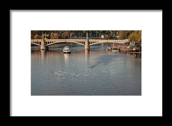 Europe Framed Print featuring the photograph Flight over water by Sergey Simanovsky