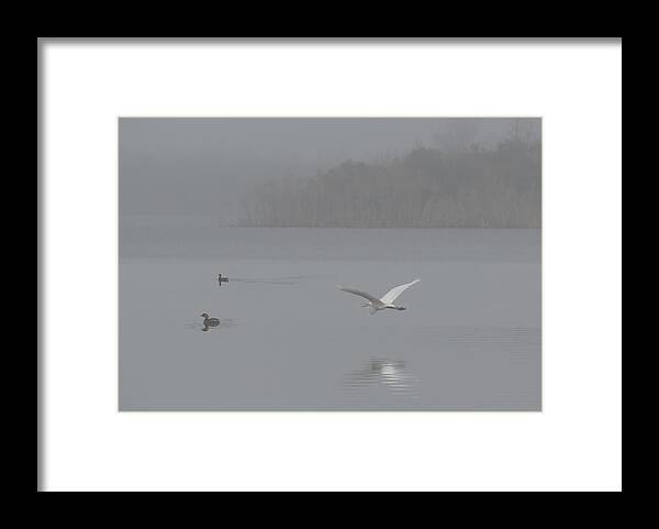 Landscape Framed Print featuring the photograph Flight through Fog by Deborah Smith