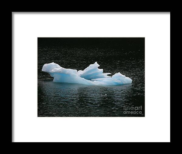 Floating Framed Print featuring the photograph Floating Blue Ice Sculpture by Bev Conover