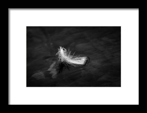 Feather Framed Print featuring the photograph Floating Feather by Gaurav Singh