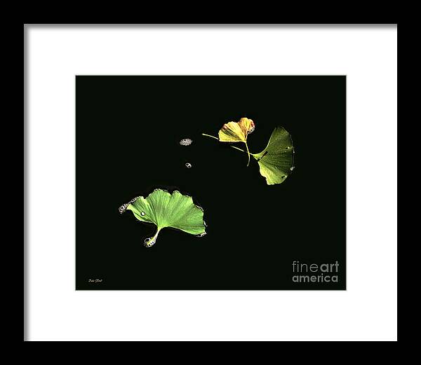 Ginko Framed Print featuring the digital art Floating Ginko Leaves by Dale  Ford