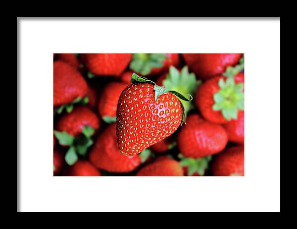 Michigan Framed Print featuring the photograph Floating Strawberry by Divya Das