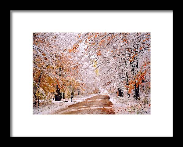 Snow Framed Print featuring the photograph Snow in Autumn 3 by Terri Gostola