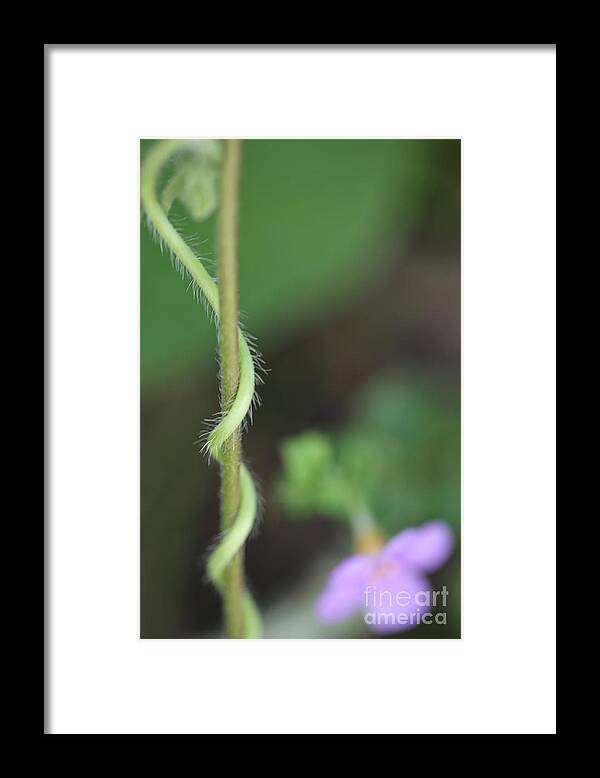 Macro Framed Print featuring the photograph Flora And Fauna Macro by Kate Purdy