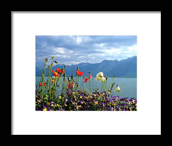 Alps Framed Print featuring the photograph Floral Coast by Amanda Mohler