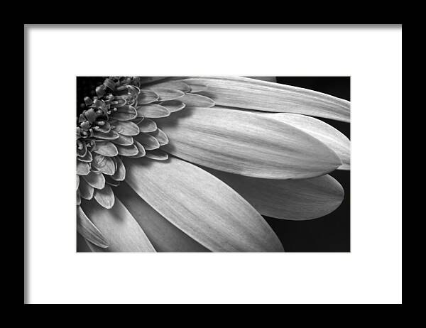Beautiful Framed Print featuring the photograph Floral Detail by Dawn Currie