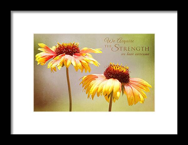 Flower Artwork Framed Print featuring the photograph Floral Sunshine with Message by Mary Buck