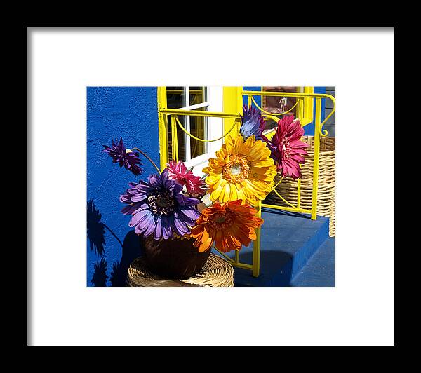 Flowers Framed Print featuring the photograph Flores Colores by Gia Marie Houck