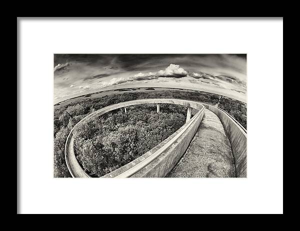Everglades Framed Print featuring the photograph Florida Everglades by Raul Rodriguez