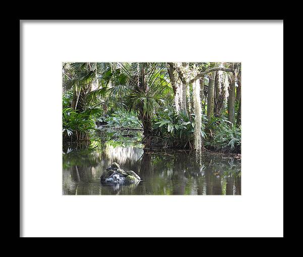 Florida Framed Print featuring the photograph Florida Reflection by Deborah Ferree