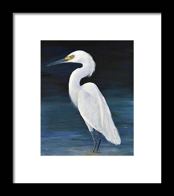 Snowy Egret Framed Print featuring the painting Florida Snow by Nancy Lauby