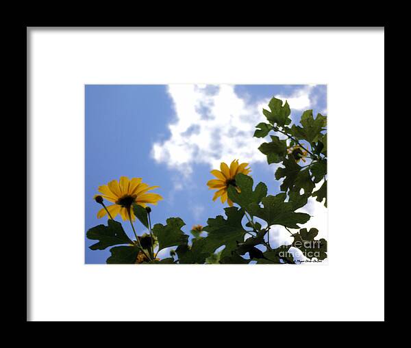 Florida Framed Print featuring the photograph Florida Sunshine1 by Megan Dirsa-DuBois