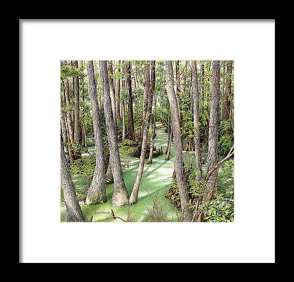 Florida Panhandle Framed Print featuring the painting Florida Swamp by Robert Hinves