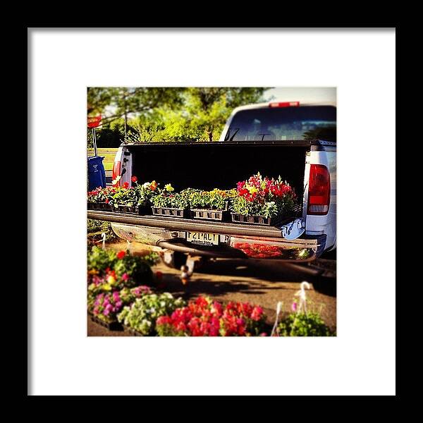 Pick-up Truck Framed Print featuring the photograph Flower Bed by Michael Gonzalez