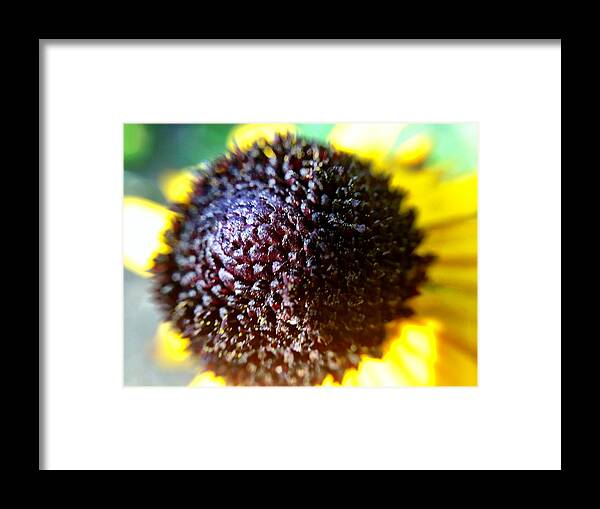 Flower Framed Print featuring the photograph Flower Macro by Chris Montcalmo