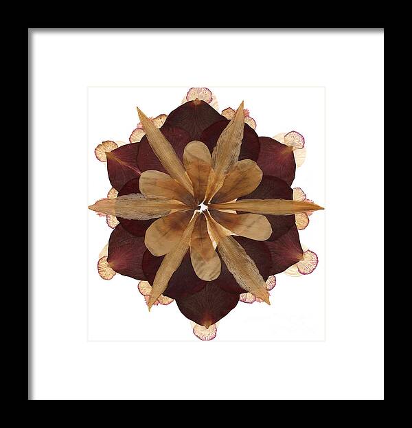 Flower Framed Print featuring the mixed media Flower Mandala 3 by Michelle Bien
