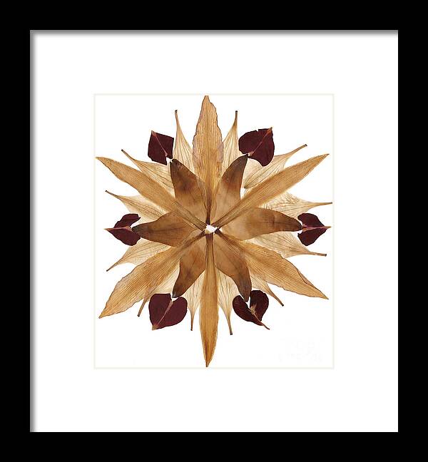 Flower Framed Print featuring the mixed media Flower Mandala 4 by Michelle Bien