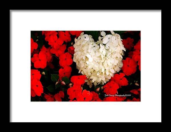 Photography Framed Print featuring the photograph Flower of my Heart by Jale Fancey