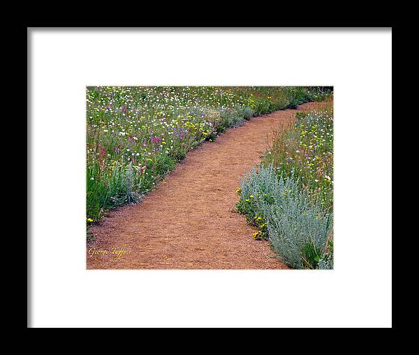 Wild Flowers Nature Landscape Hiking Path Colorado Rocky Mountains Framed Print featuring the photograph Flower path by George Tuffy