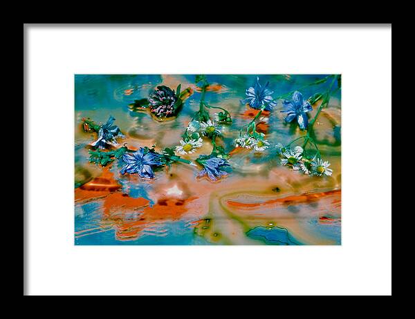  Framed Print featuring the photograph Flower Spill by David Flitman