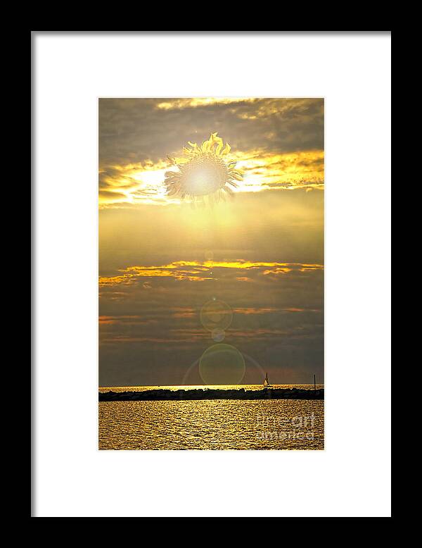 flower Sun Framed Print featuring the photograph Flower Sun by David Arment