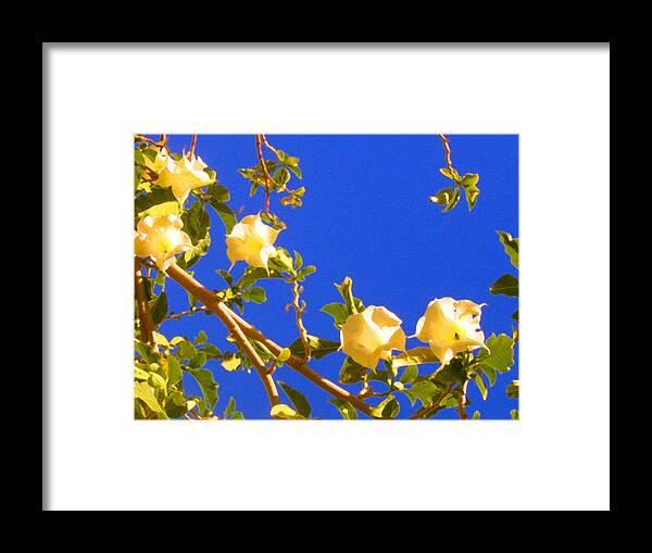 Landscapes Framed Print featuring the painting Flowering Tree 1 by Amy Vangsgard