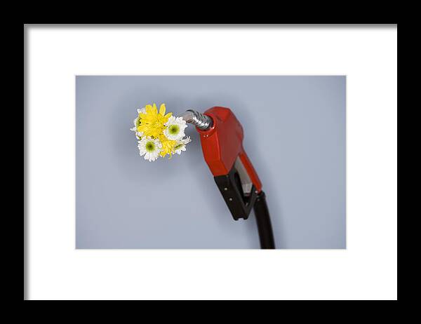 Environmental Conservation Framed Print featuring the photograph Flowers and gas pump by Comstock Images