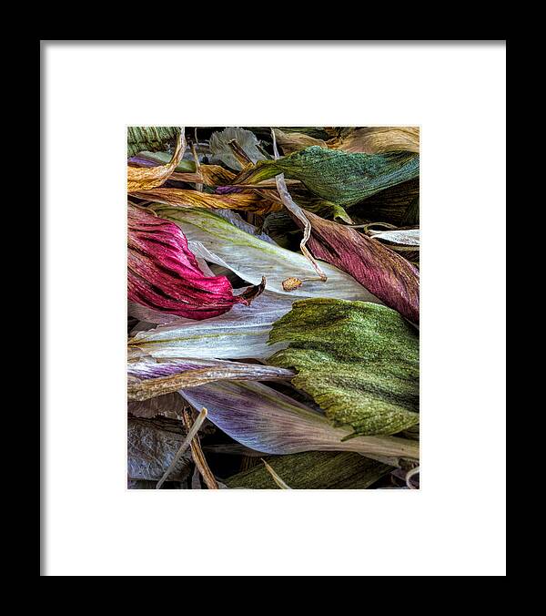 Abstract Framed Print featuring the photograph Flowers by Bob Orsillo