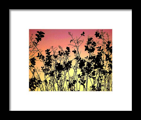  Agriculture Framed Print featuring the photograph Flowers in the backlight 2 by Amanda Mohler