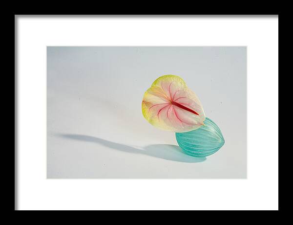 Flowers Framed Print featuring the photograph Flowers in Vases2 by Matthew Pace