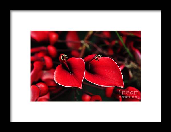 Photography Framed Print featuring the photograph Flowers of Fire by Kaye Menner