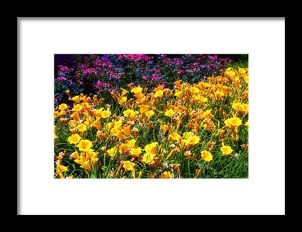 Flowers Framed Print featuring the photograph Flowers by Tim McCullough