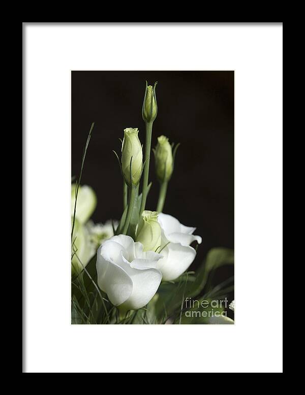Bouquet Framed Print featuring the photograph White flowers. #2 by Vanessa D -