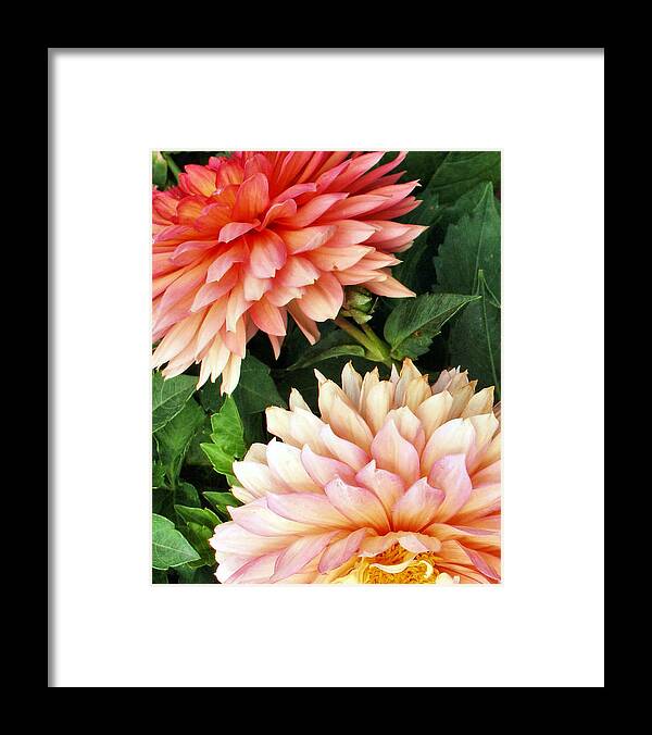 Flowers Framed Print featuring the photograph Flowers...warm Breeze by Tom Druin