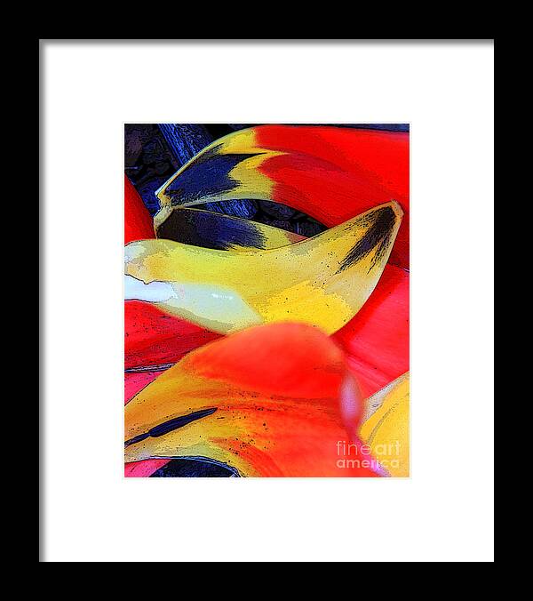 Color Framed Print featuring the photograph Flowing Colors 2 by Jeanette French