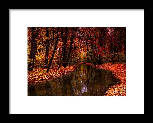 Autumn Framed Print featuring the photograph Flowing Through The Colors Of Fall by Hannes Cmarits
